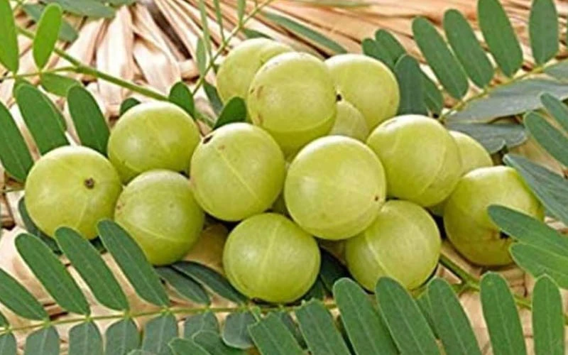 Amla